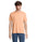 Camiseta Unisex Ecológica de Algodón Biológico En Varios Colores con Certificado PETA y OEKO-TEX® para Personalizar Legend 175gms