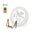 Sustainable Wheatgrass Frisbee with Crayon Set Included for Coloring Customizable Nature Drawing Ashen