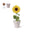 Biodegradable Planter Pot to Personalize with Sunflower Seeds Special Office Tumil