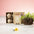 Garden Kit with Seeds in Recycled Cardboard to Personalize Special Awareness Campaigns Tomarux