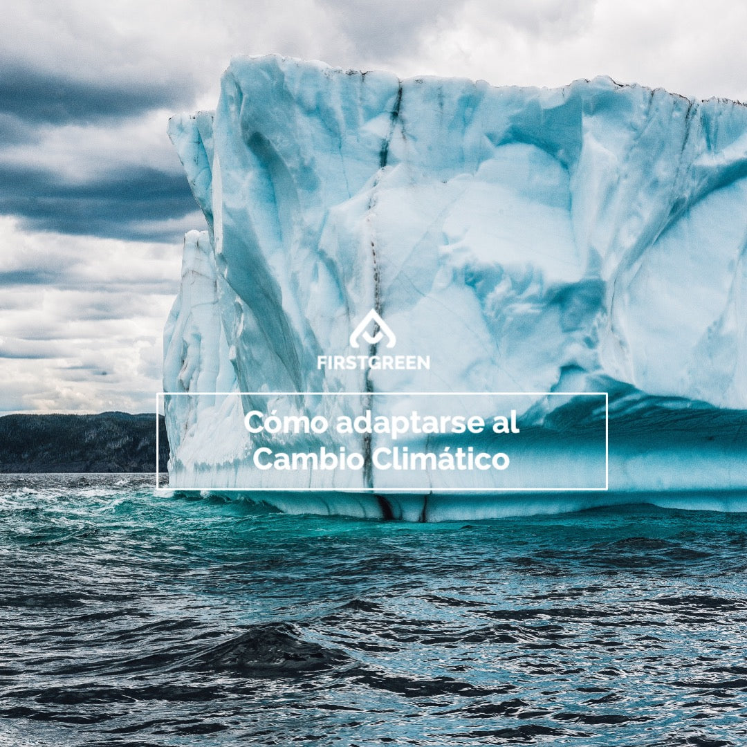 Aumento de la temperatura : cómo adaptarse al Cambio Climático y prevenir sus cambios