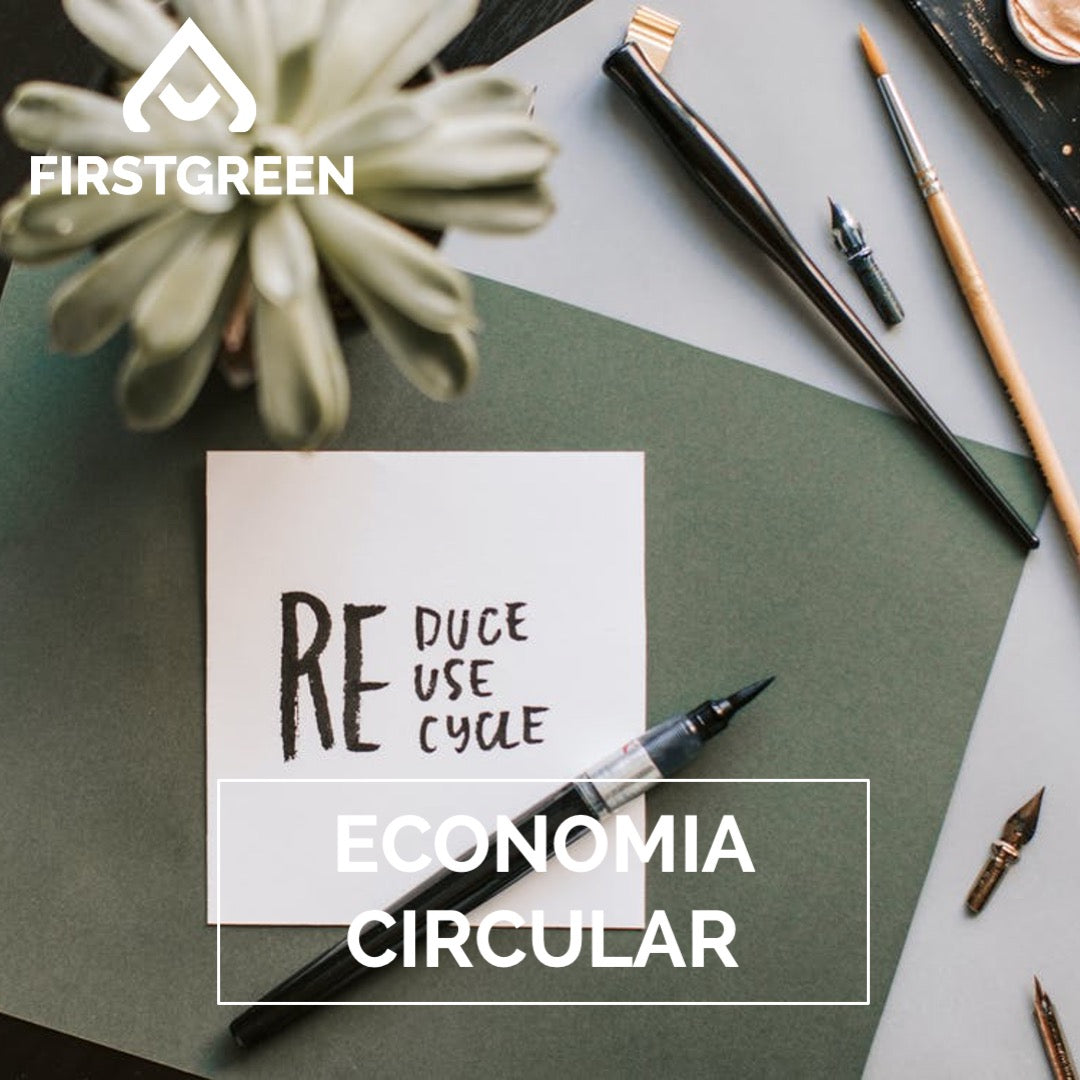 ¿Qué es la Economía Circular?