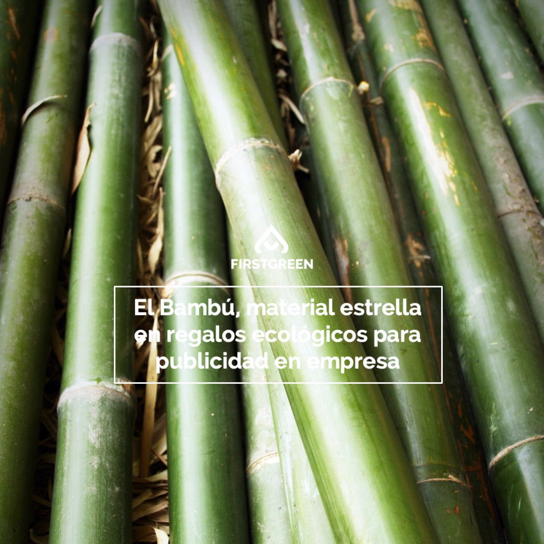 El bambú, material estrella en regalos ecológicos para publicidad en empresa