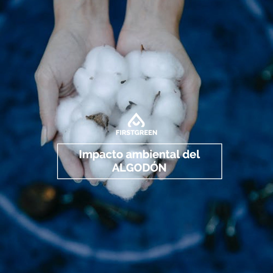 Diferencias para el medio ambiente entre el algodón convencional, reciclado, ecológico y combinado con pet