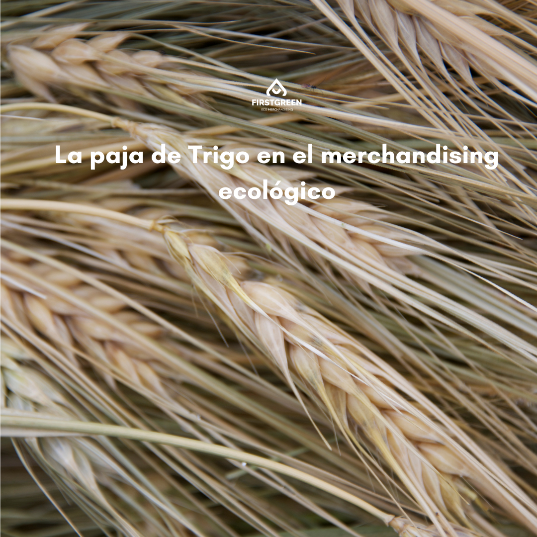 La paja de Trigo en el merchandising ecológico