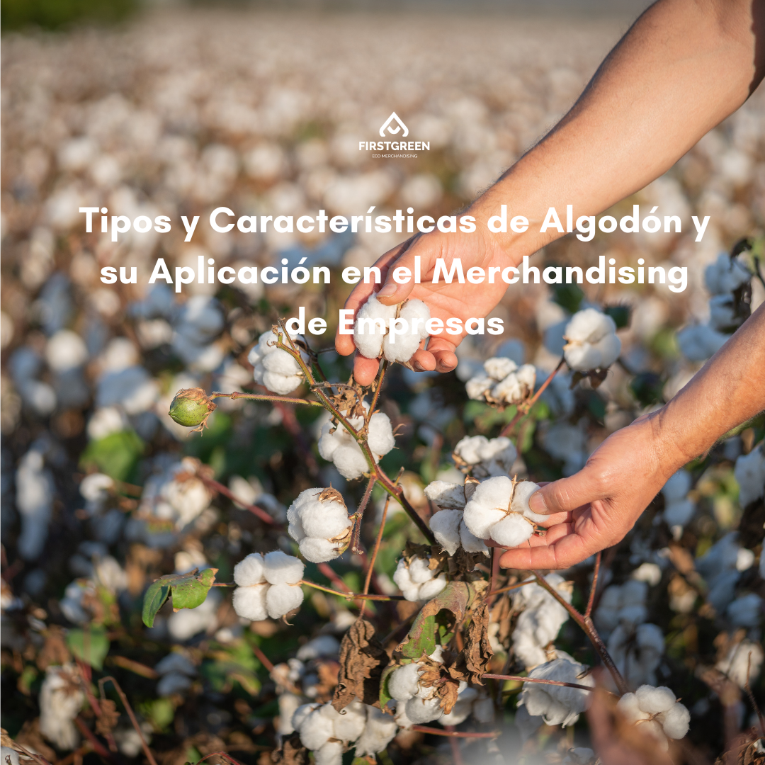 Tipos y Características de Algodón y su Aplicación en el Merchandising de Empresas