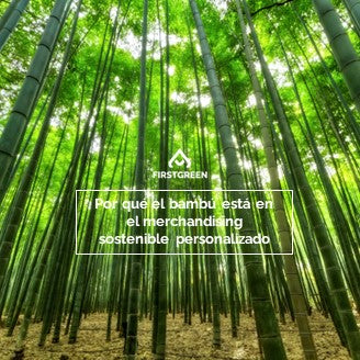 Por qué el bambú está en el merchandising sostenible personalizado