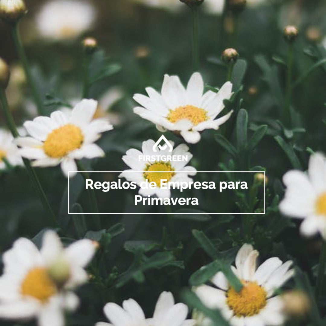 Qué regalos de empresa hacer en primavera
