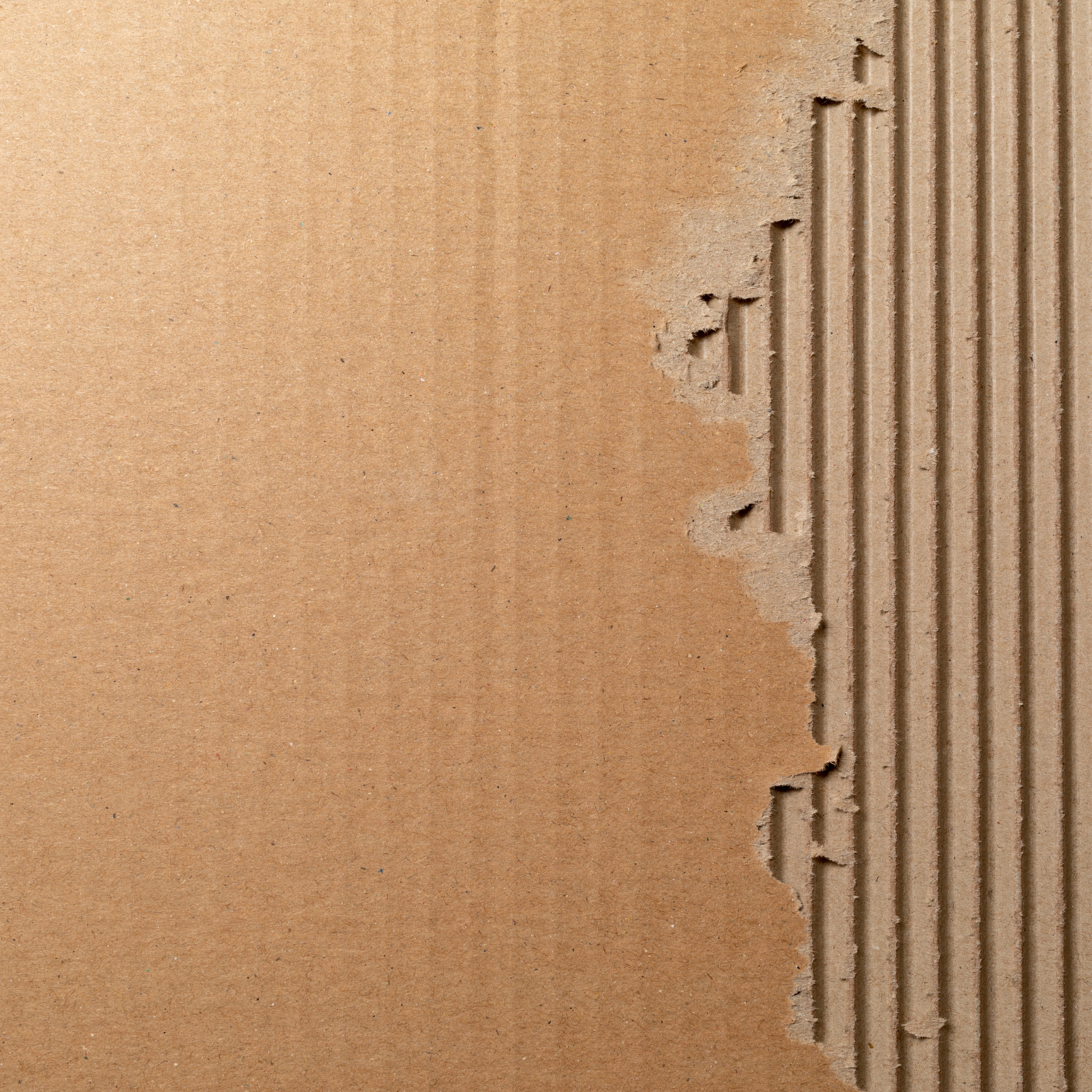 Merchandising sostenible fabricado con cartón reciclado para regalos corporativos responsables