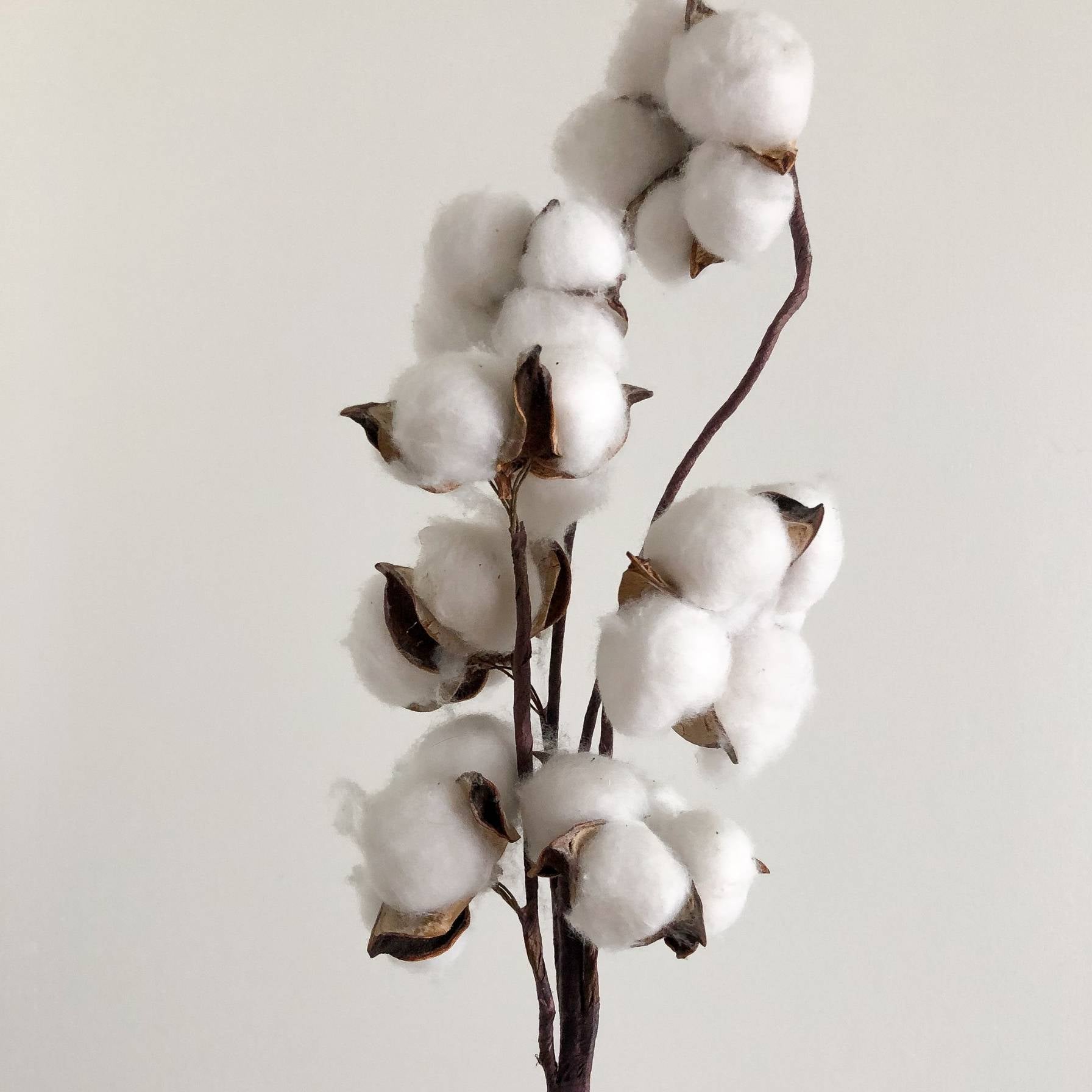 Merchandising textil fabricado con algodón para regalos corporativos personalizados