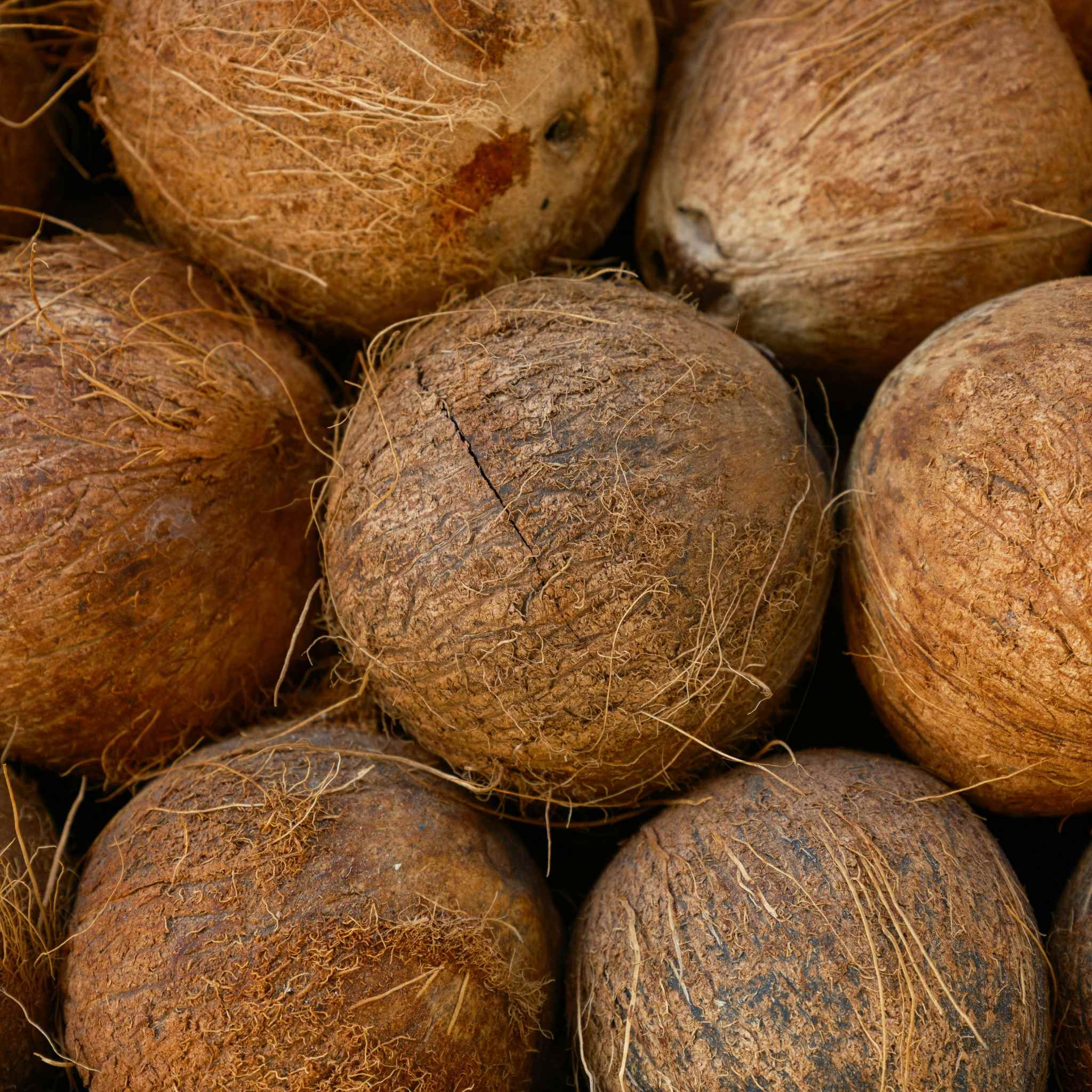 Merchandising sostenible fabricado con coco para regalos corporativos responsables