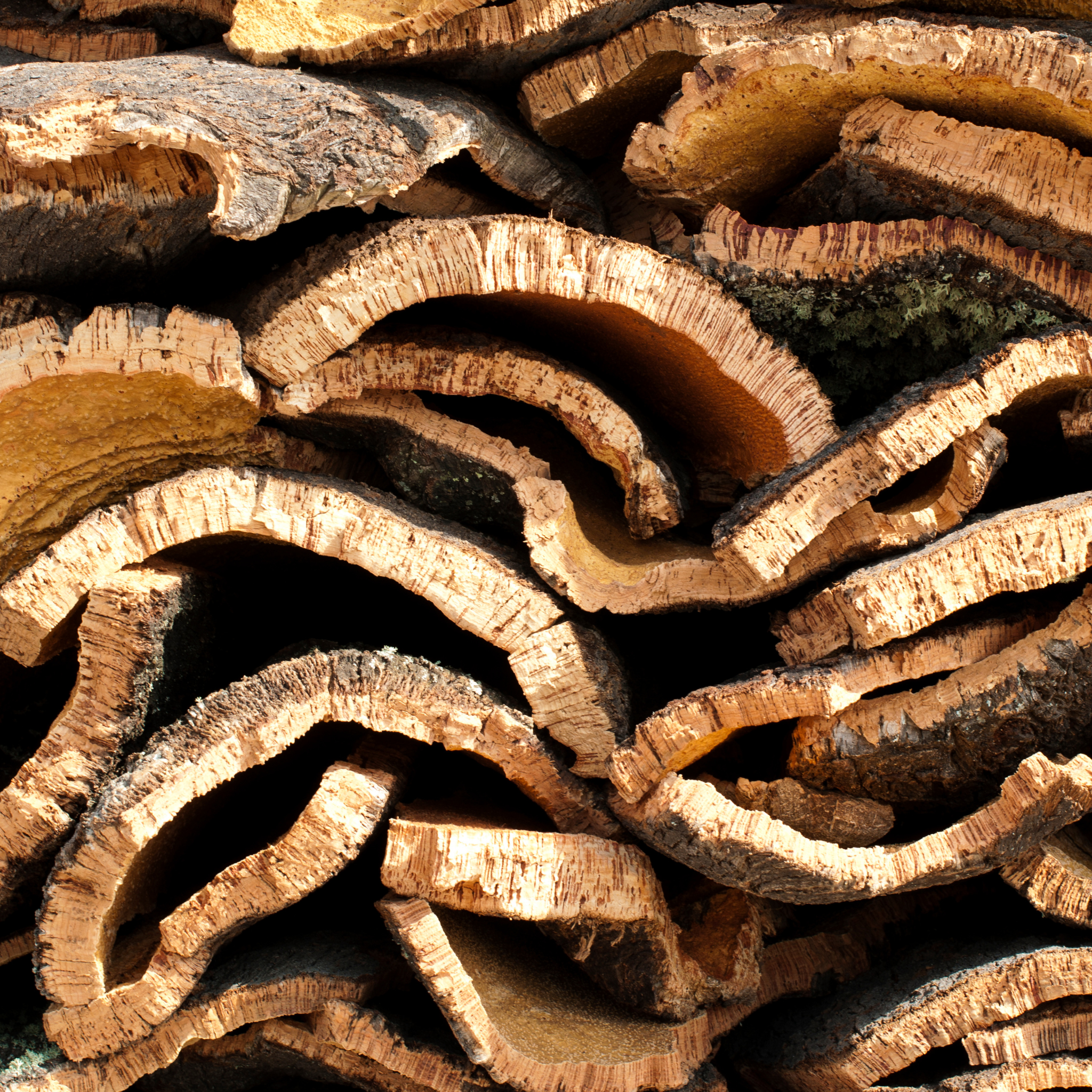 Artículos promocionales fabricados con corcho natural como alternativa sostenible para empresas