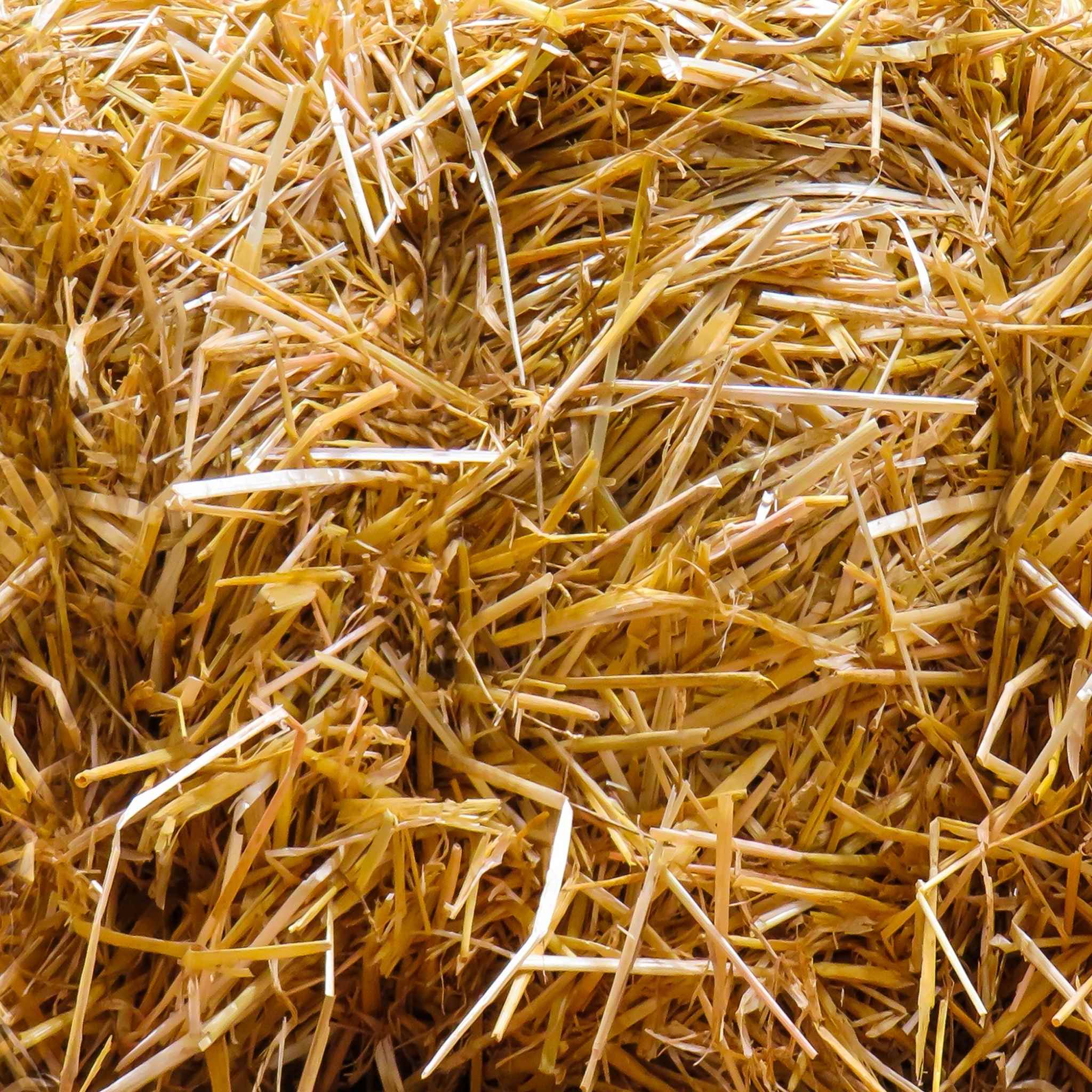 Artículos promocionales fabricados con paja natural biodegradable como alternativa sostenible para empresas