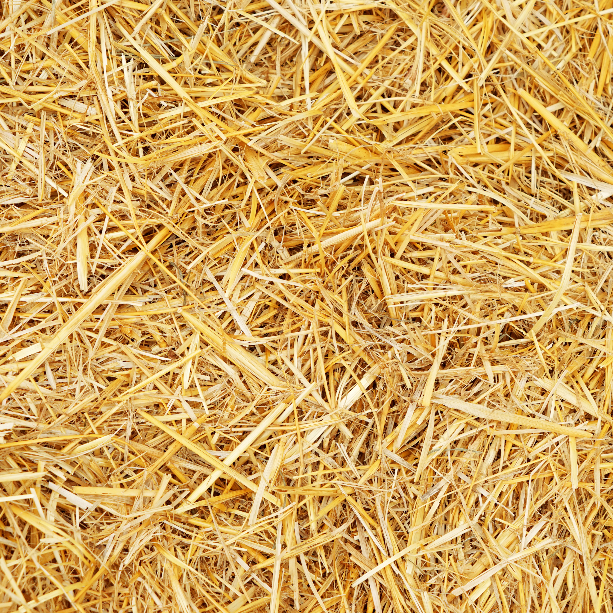 Artículos promocionales fabricados con paja natural biodegradable como alternativa sostenible para empresas