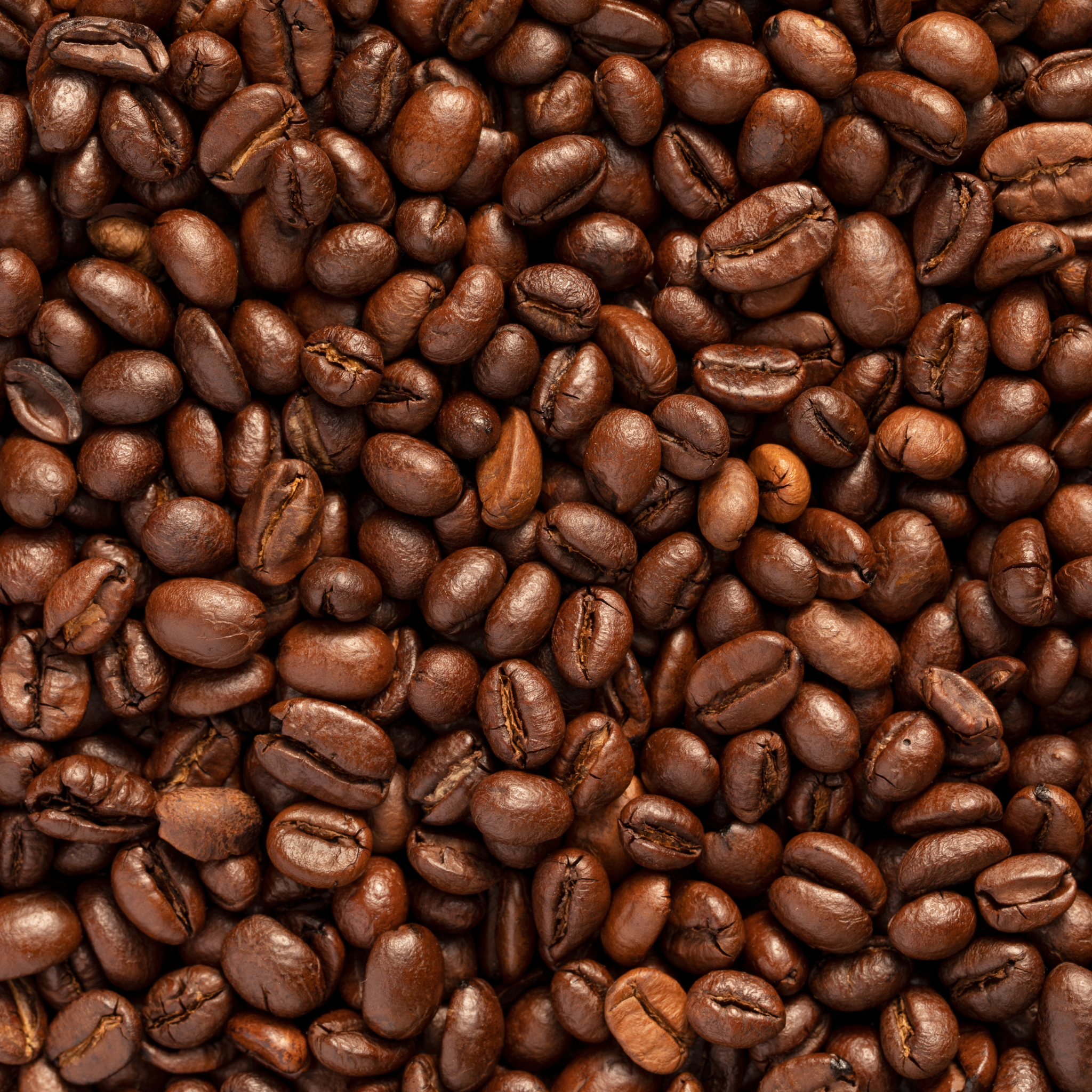 Merchandising sostenible fabricado con residuos de café para regalos corporativos responsables