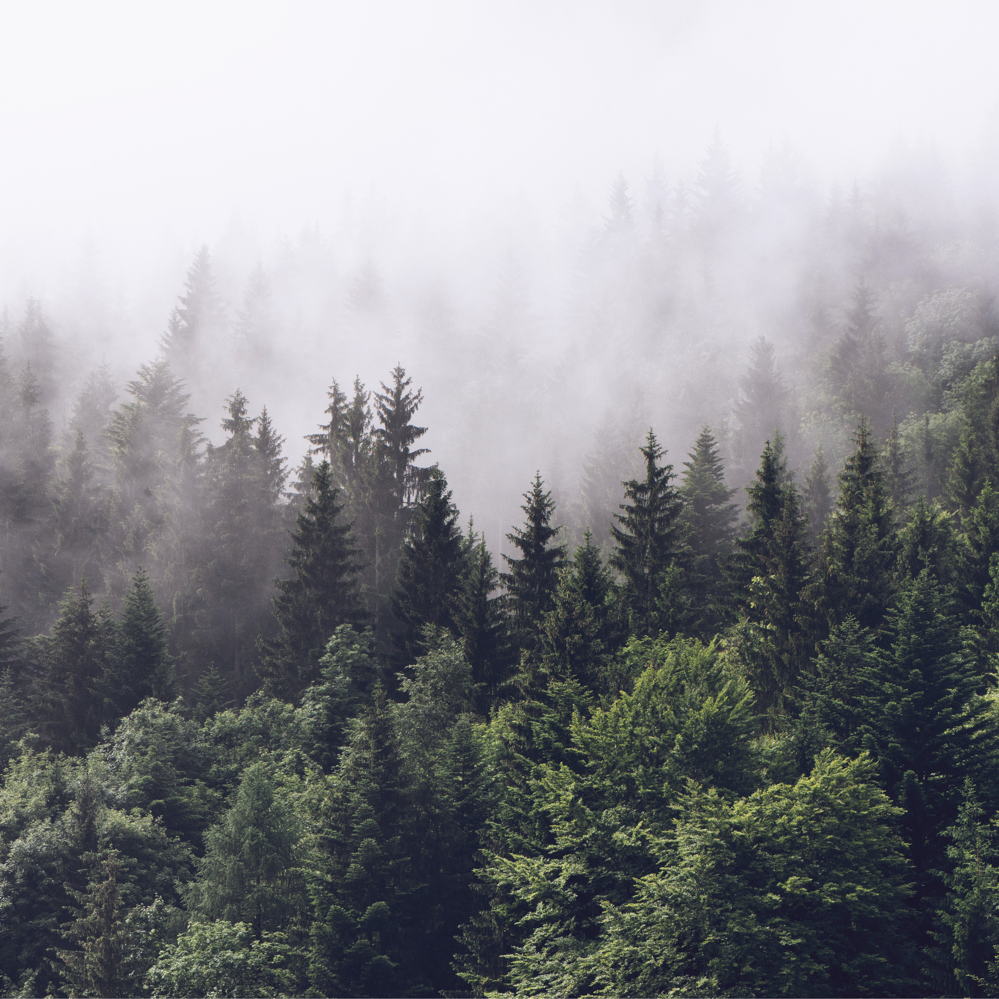 Regalos promocionales sostenibles con cálculo de huella de carbono incluido para empresas