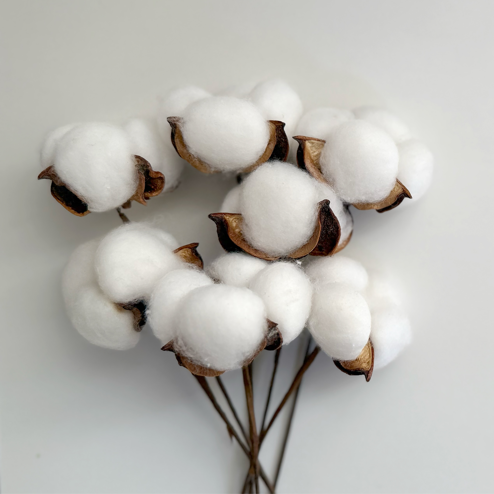 Merchandising textil fabricado con algodón para regalos corporativos personalizados