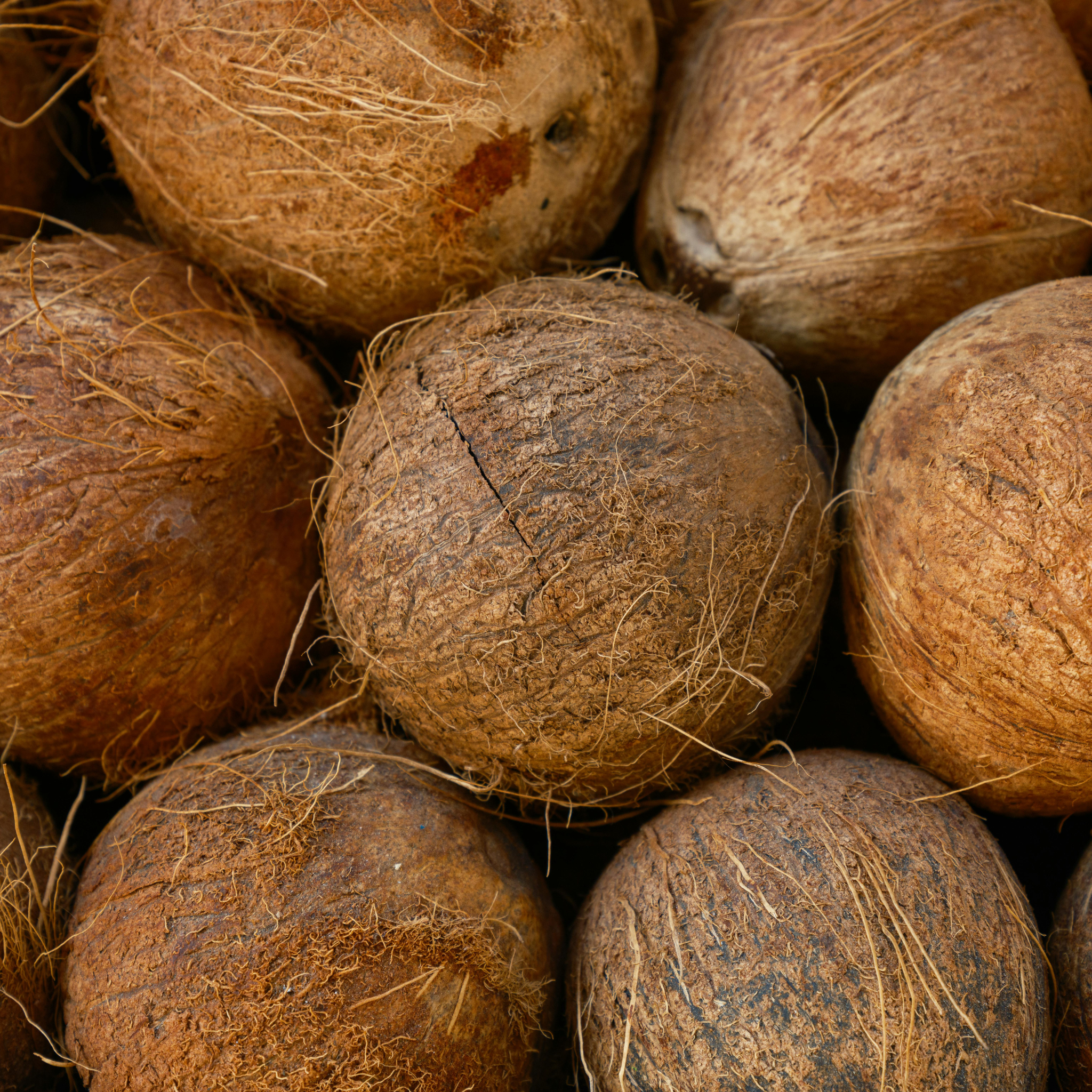 Merchandising sostenible fabricado con coco para regalos corporativos responsables