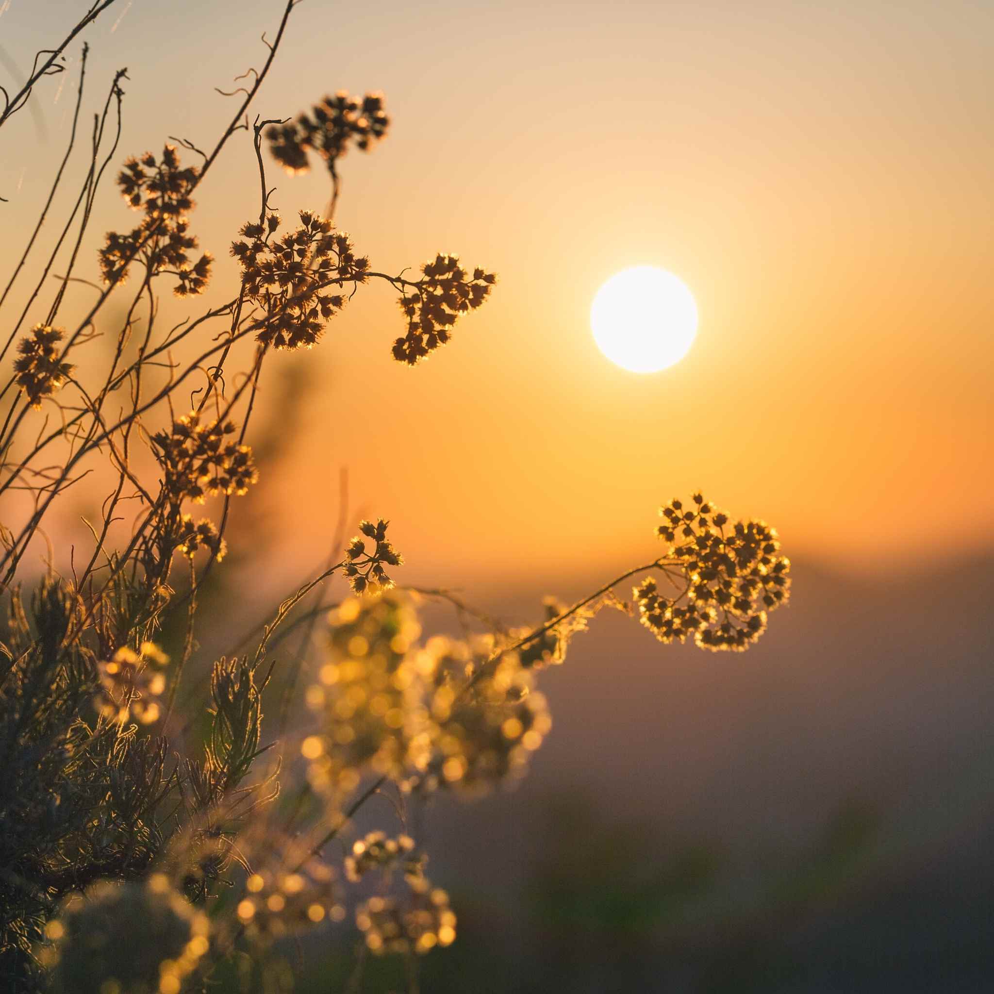 Regalos solares personalizados y sostenibles como powerbanks y dispositivos con energía solar para empresas