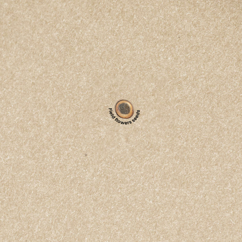 FirstGreen Eco Merchandising Ecologico y Regalo de Empresa Personalizado