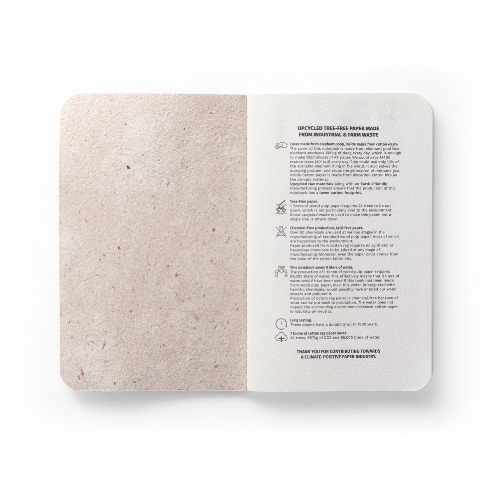 FirstGreen Eco Merchandising Ecologico y Regalo de Empresa Personalizado