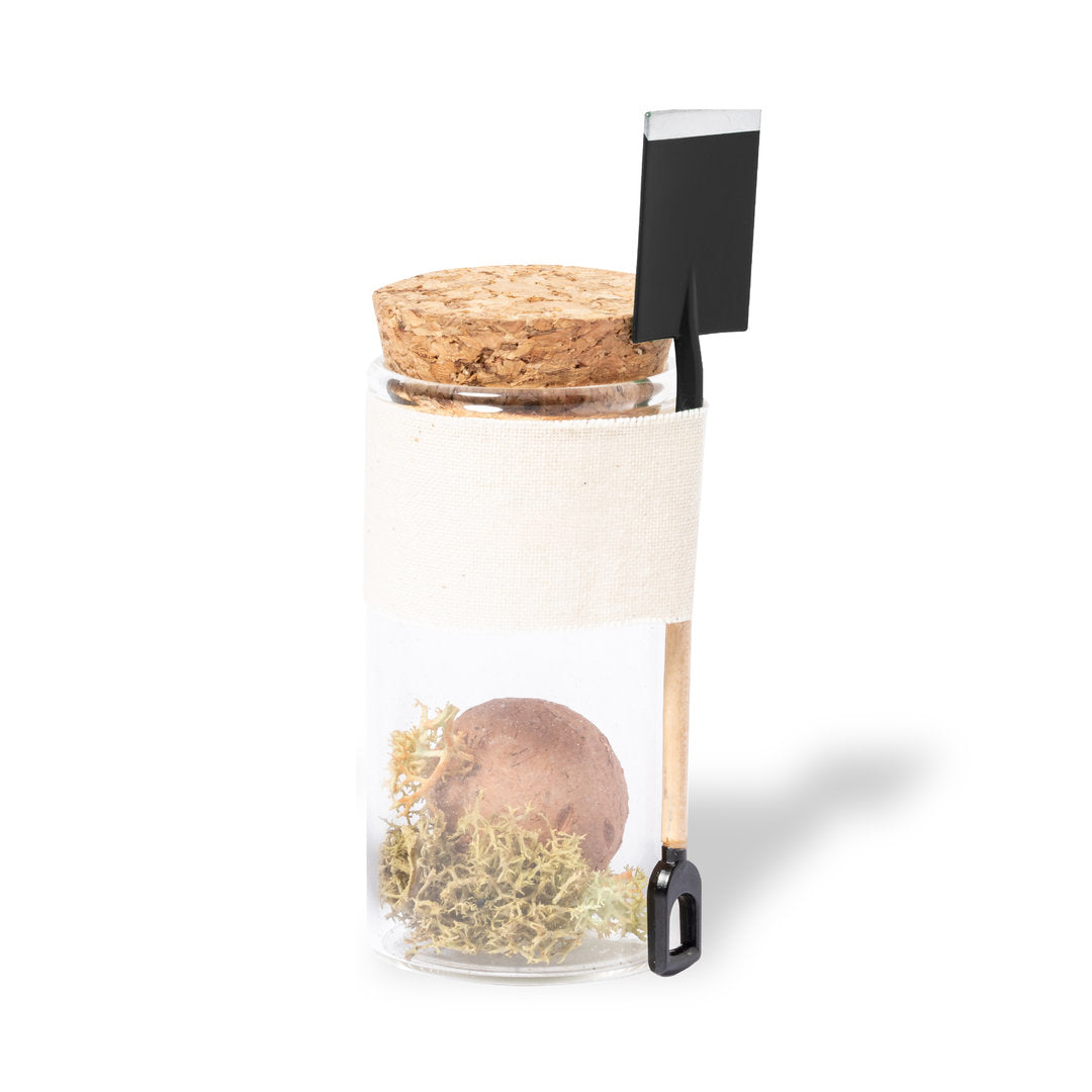 FirstGreen Eco Merchandising Ecologico y Regalo de Empresa Personalizado