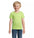 Camiseta Ajustada Ecológica de Algodón Orgánico en 12 Colores con Certificado Organic Blended , Organic 100, PETA y OEKO-TEX® para Personalizar Pioneer Niñ@s - 175gsm