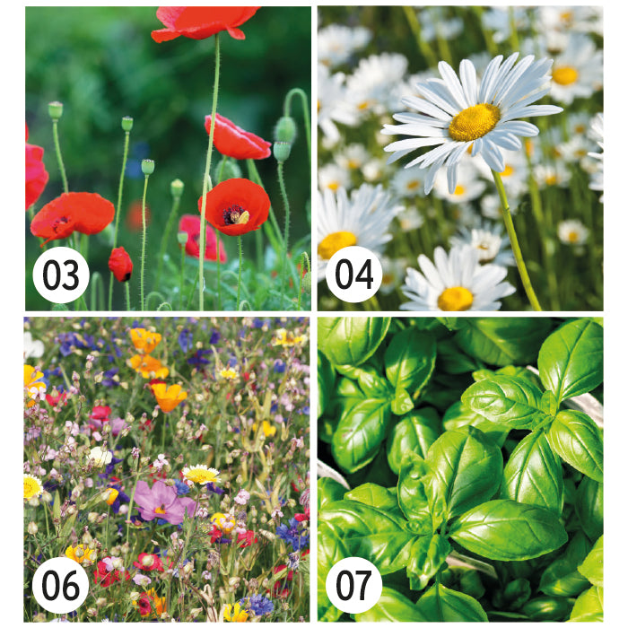 FirstGreen Eco Merchandising Ecologico y Regalo de Empresa Personalizado