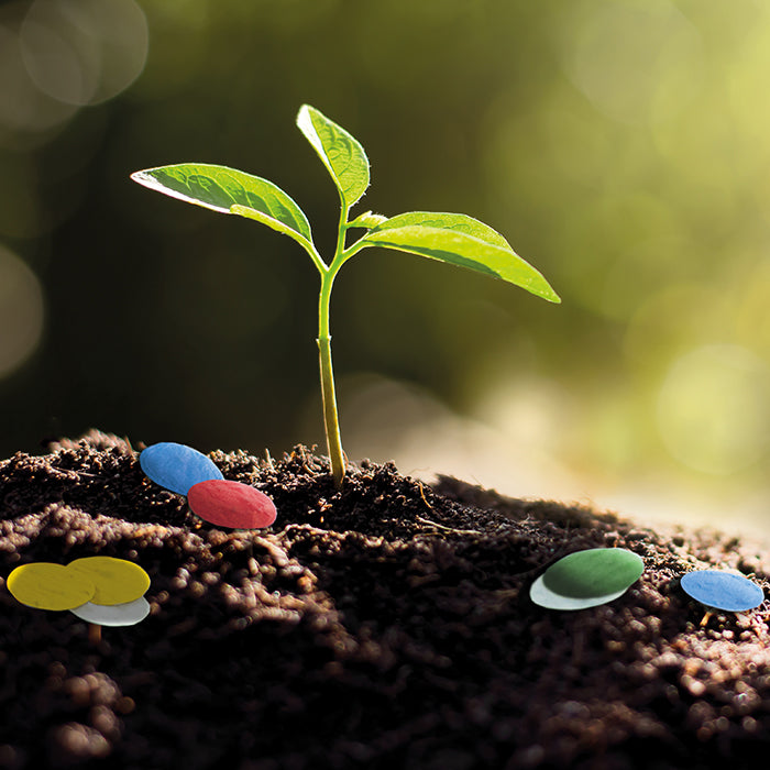 FirstGreen Eco Merchandising Ecologico y Regalo de Empresa Personalizado