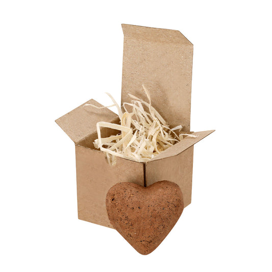 Caja de cartón reciclado personalizada para bombón plantable con semillas