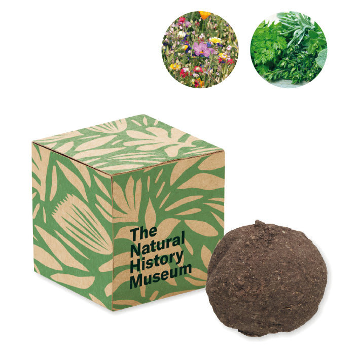 FirstGreen Eco Merchandising Ecologico y Regalo de Empresa Personalizado