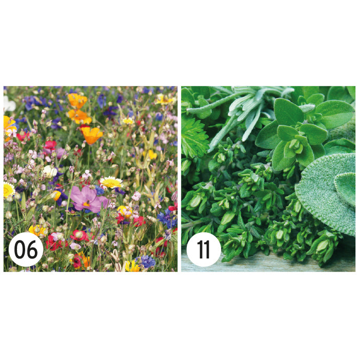 FirstGreen Eco Merchandising Ecologico y Regalo de Empresa Personalizado