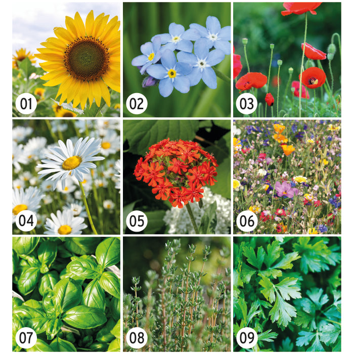 FirstGreen Eco Merchandising Ecologico y Regalo de Empresa Personalizado