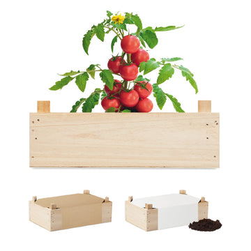 Kit de Cultivo de Semillas Varias en Caja de Madera para Personalizar Made In Europe