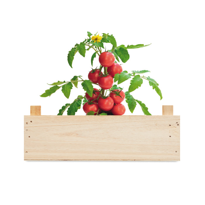 FirstGreen Eco Merchandising Ecologico y Regalo de Empresa Personalizado