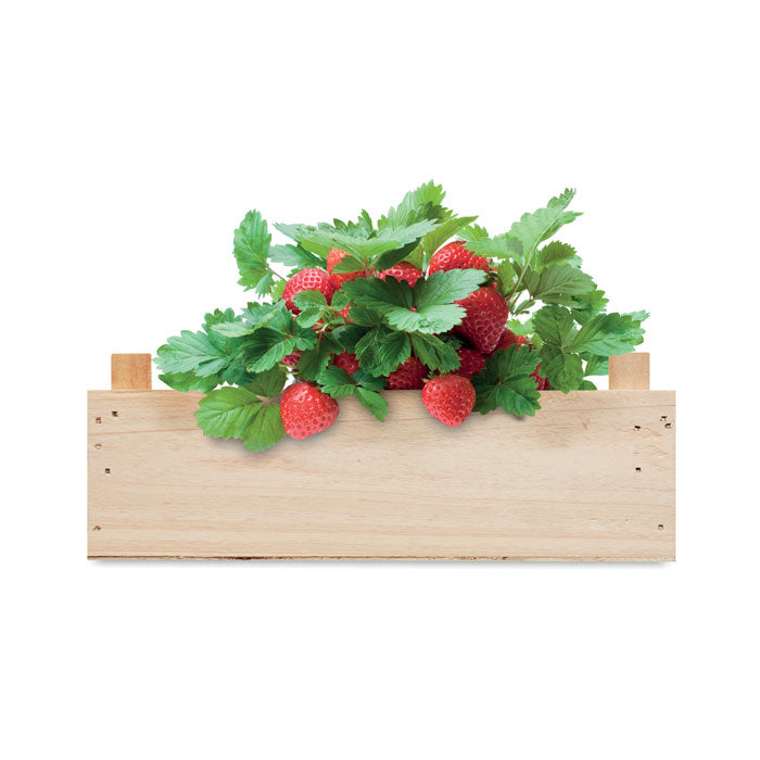 Kit de Cultivo de Semillas de Fresa en Caja de Madera para Personalizar Made In Europe Strawberry