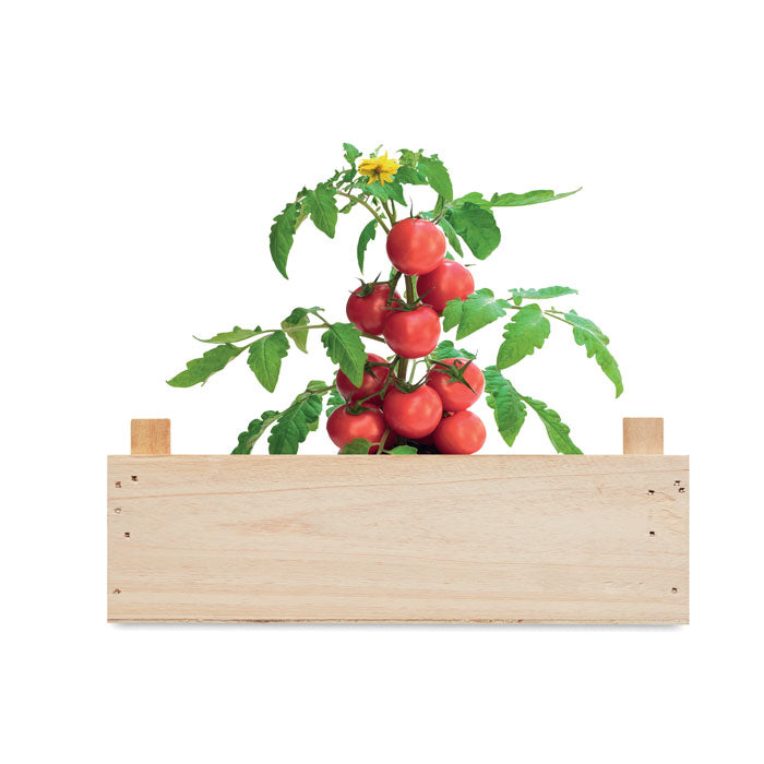 Kit de Cultivo de Semillas de Tomates en Caja de Madera para Personalizar Made In Europe Tomato