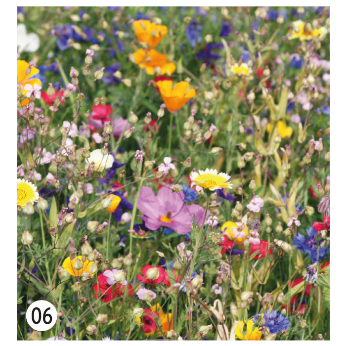 FirstGreen Eco Merchandising Ecologico y Regalo de Empresa Personalizado