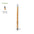 Eternal Ecological Bamboo Pencil to Personalize with Special Eraser Billy Training