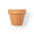 Terracotta Planter Pot with Petunia Seeds and Special Growth Substrate Advertising Gift Soltax