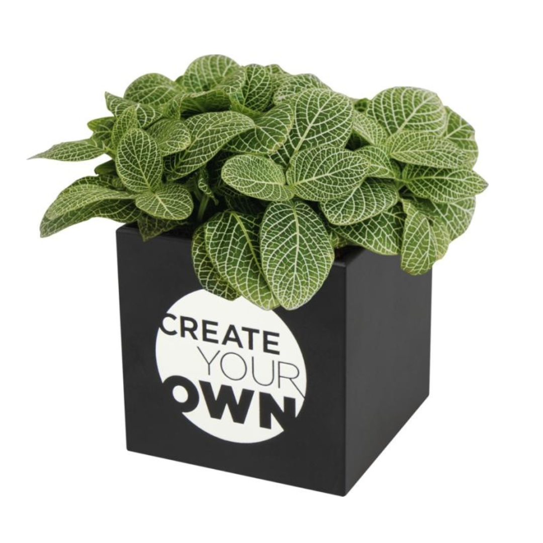 FirstGreen Eco Merchandising Ecologico y Regalo de Empresa Personalizado