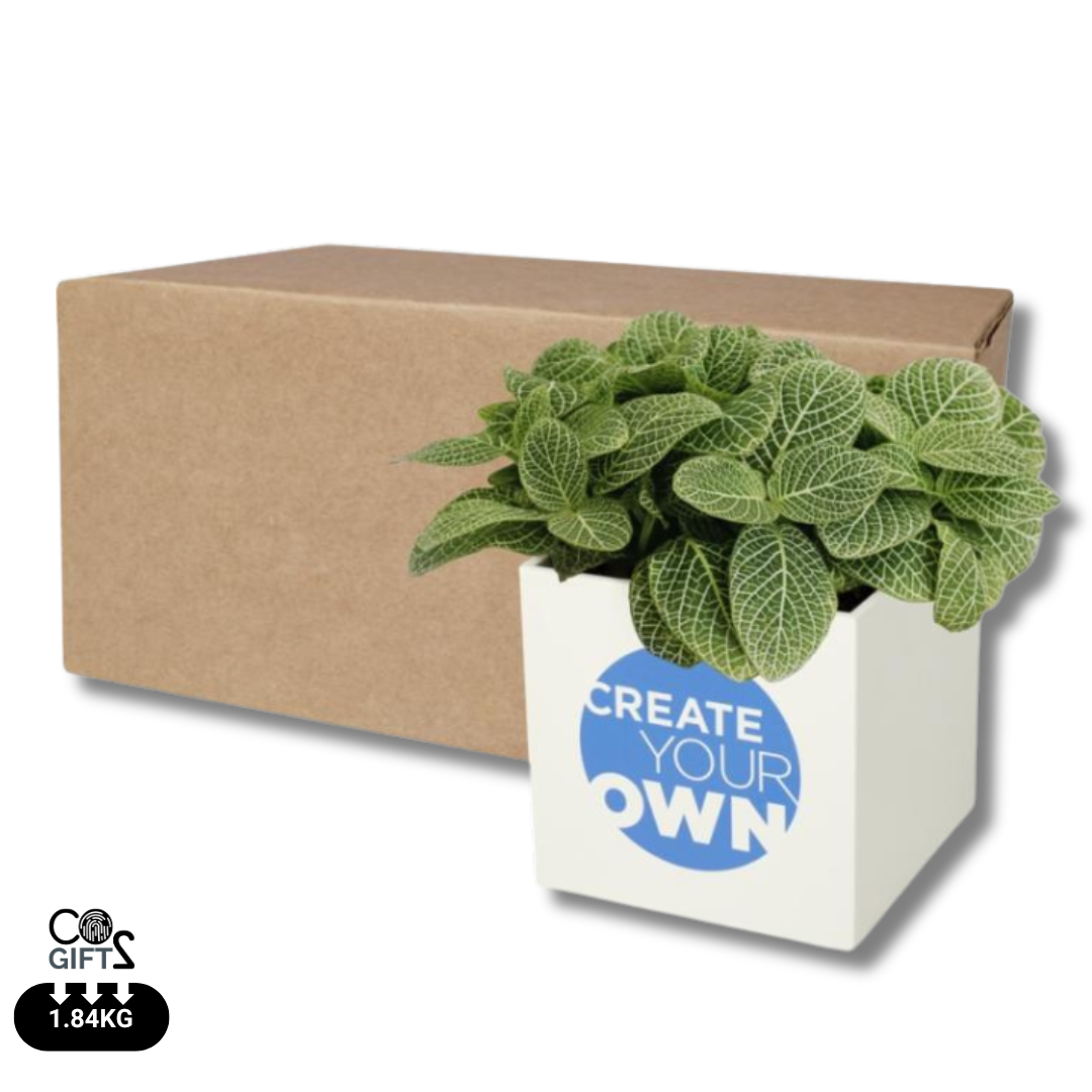 FirstGreen Eco Merchandising Ecologico y Regalo de Empresa Personalizado