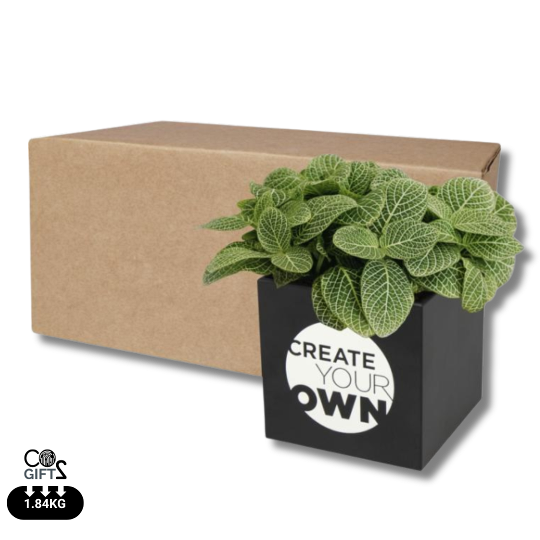 FirstGreen Eco Merchandising Ecologico y Regalo de Empresa Personalizado