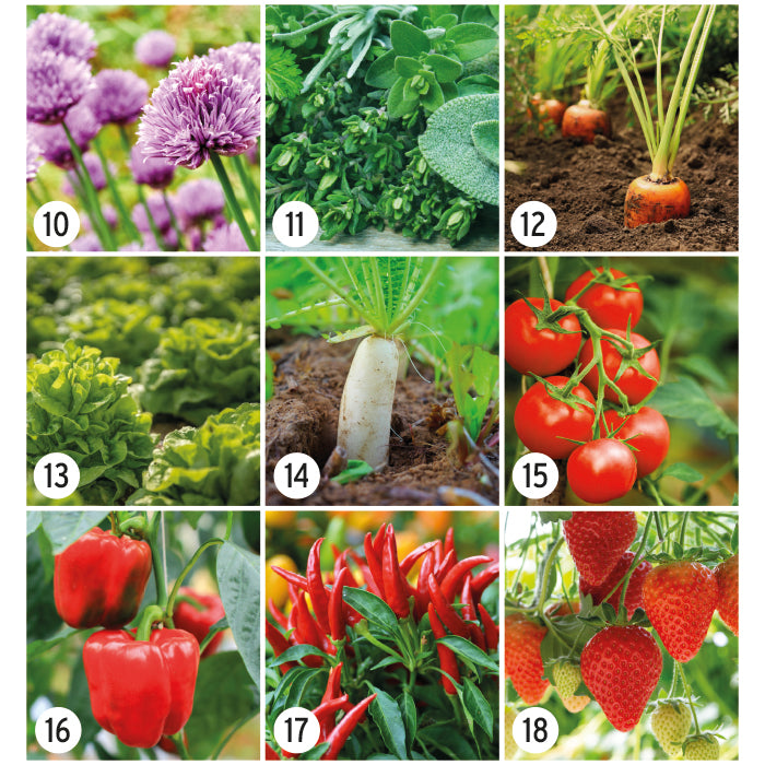 FirstGreen Eco Merchandising Ecologico y Regalo de Empresa Personalizado