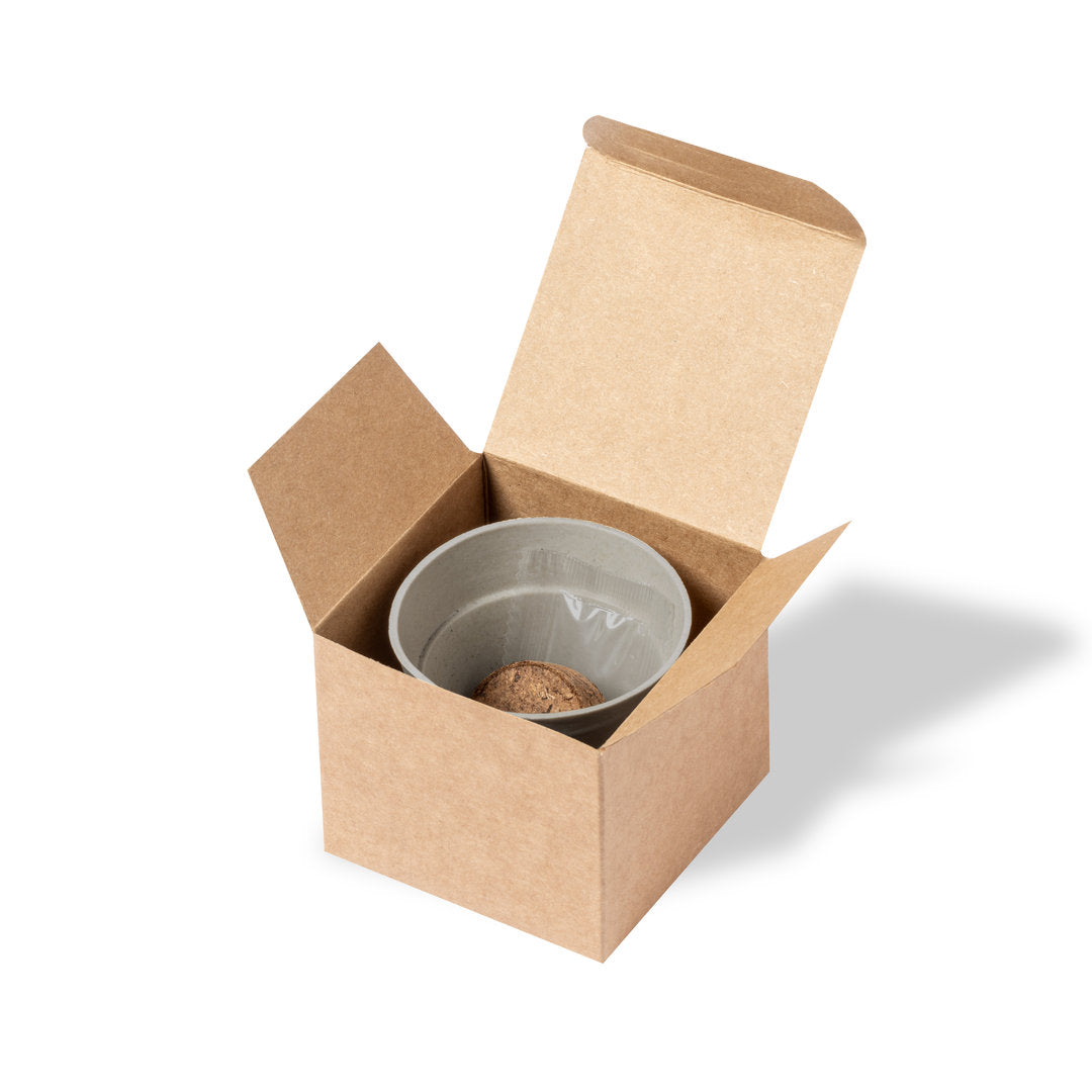 FirstGreen Eco Merchandising Ecologico y Regalo de Empresa Personalizado