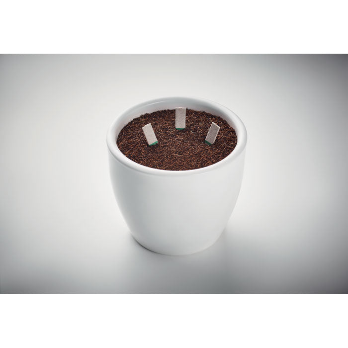 FirstGreen Eco Merchandising Ecologico y Regalo de Empresa Personalizado