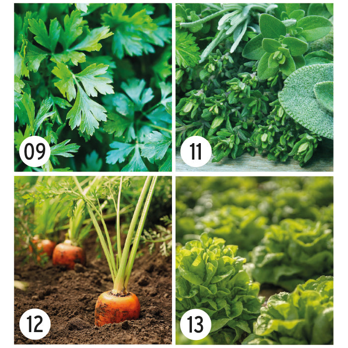 FirstGreen Eco Merchandising Ecologico y Regalo de Empresa Personalizado