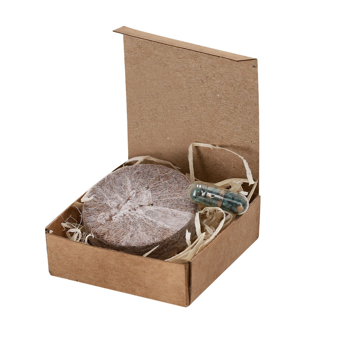 Regalo promocional ecológico para eventos sostenibles