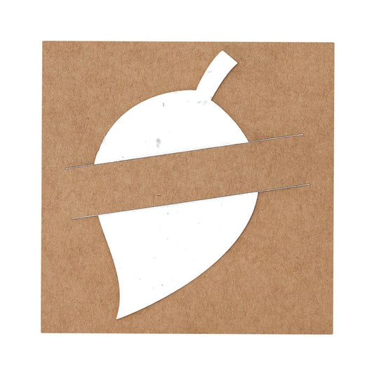 Presentación en cartón reciclado de papel plantable con semillas promocional