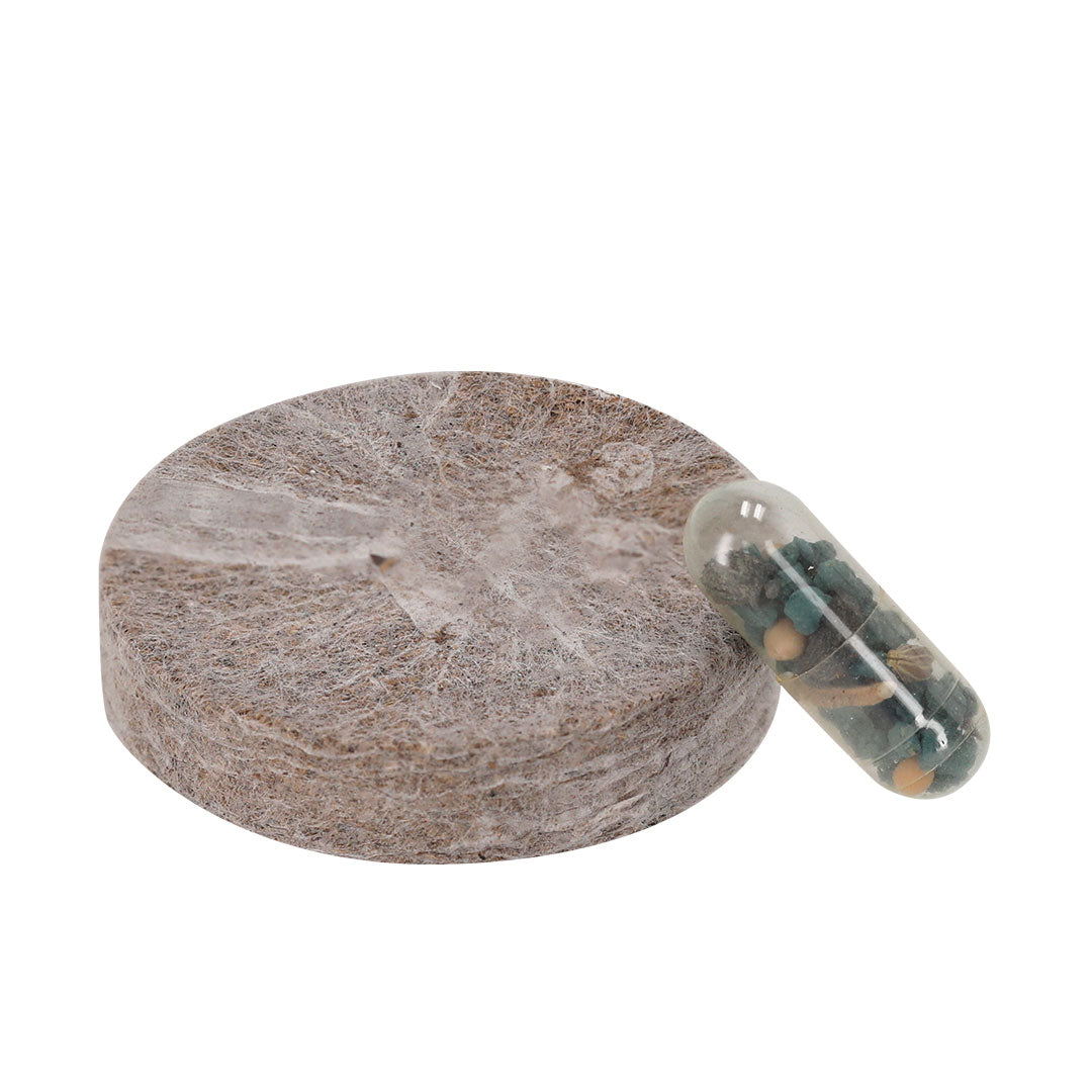 Flores silvestres cultivadas a partir de pack plantable promocional